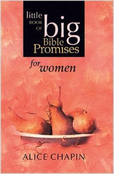 Little Book of Big Bible Promises for Women